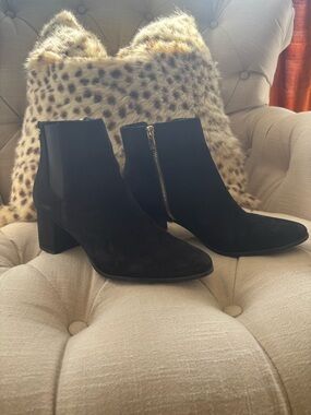 Calvin Klein Black Suede Ankle Booties with Gold Zipper